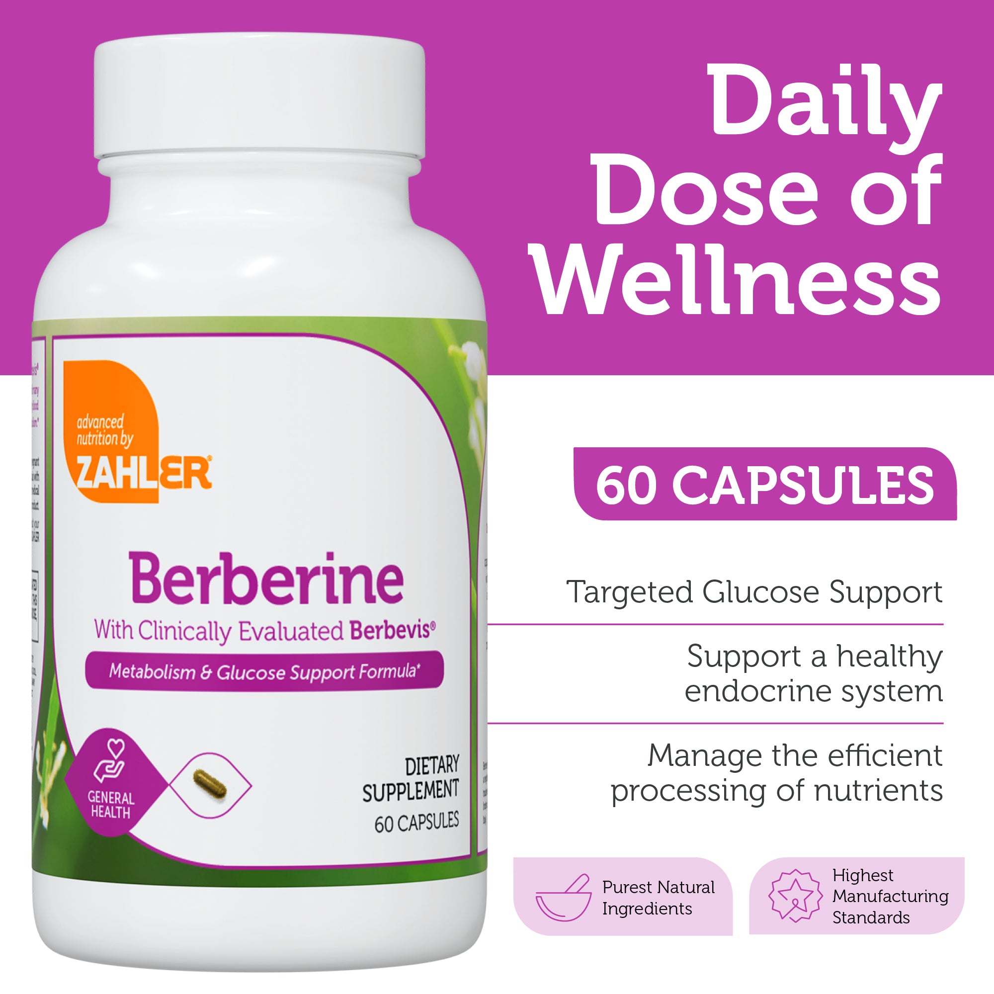 Berberine with Clinically Evaluated Berbevis, Metabolism and Glucos Support Formula, 60 Capsules