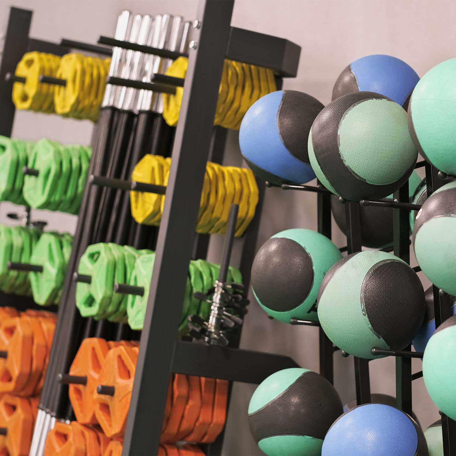 Fitness Equipment
